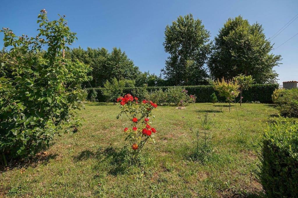 Apartment Radeki Glavica 112B Loborika Екстер'єр фото